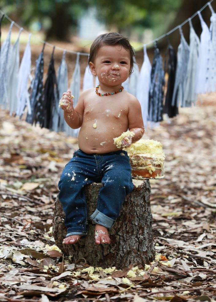 Young Boy Cake Smash